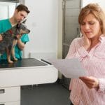 Hunde OP Versicherung ohne Selbstbeteiligung