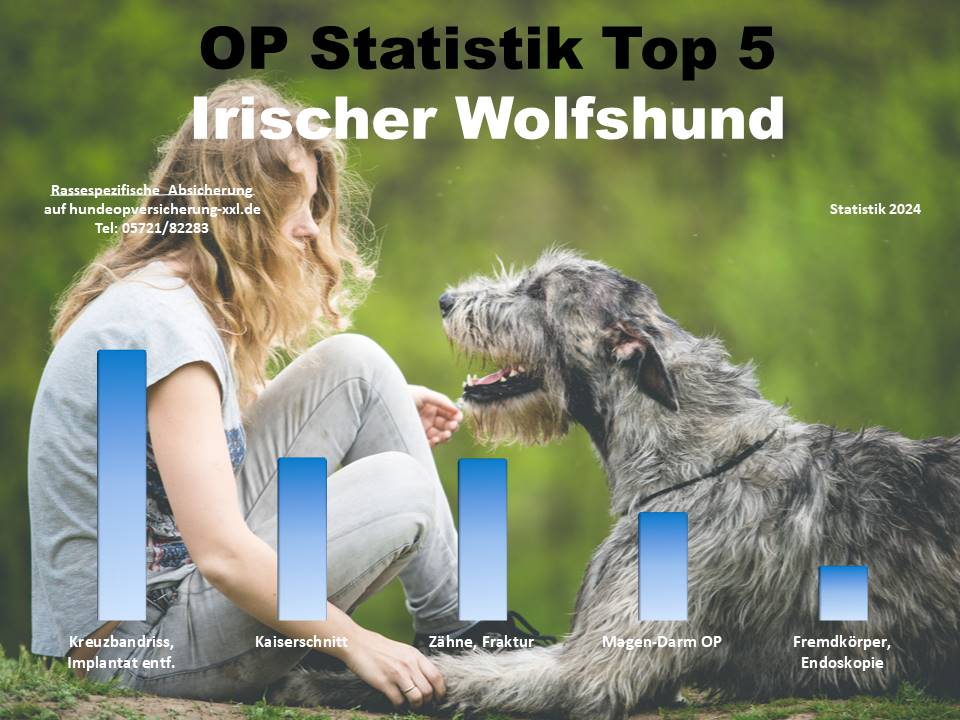 Irischer Wolfshund Hunde-OP Versicherung Statistik
