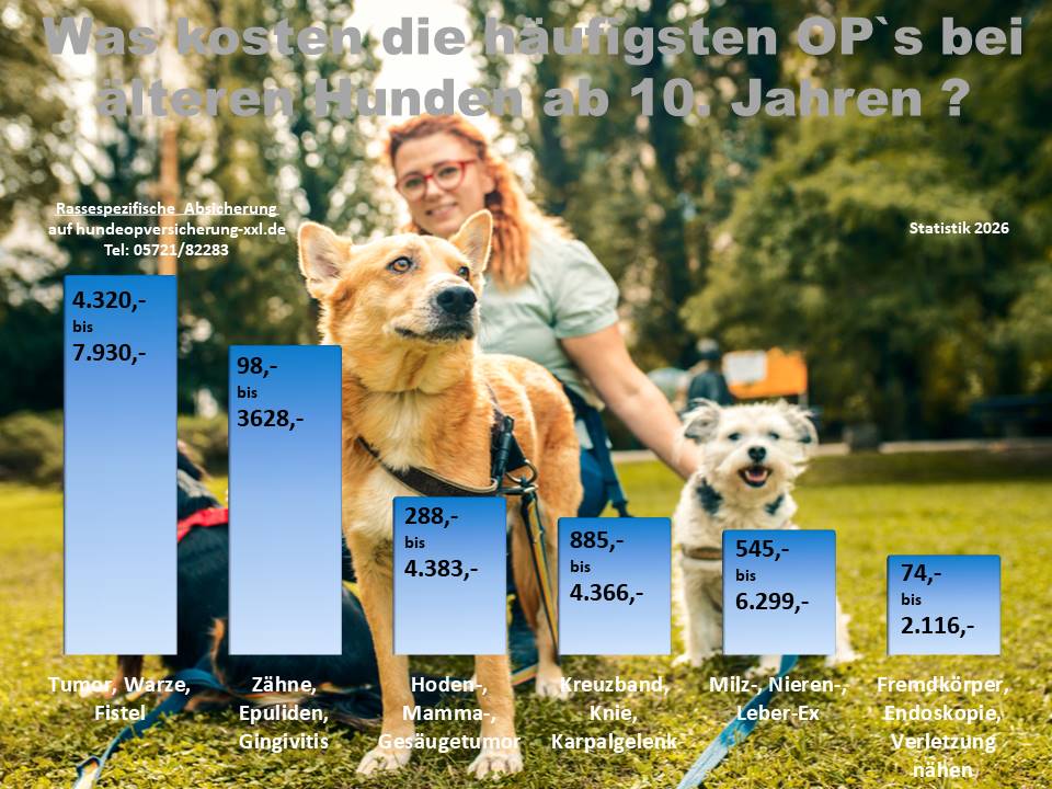 Hunde-OP Versicherung ältere Hunde OP-Statistik