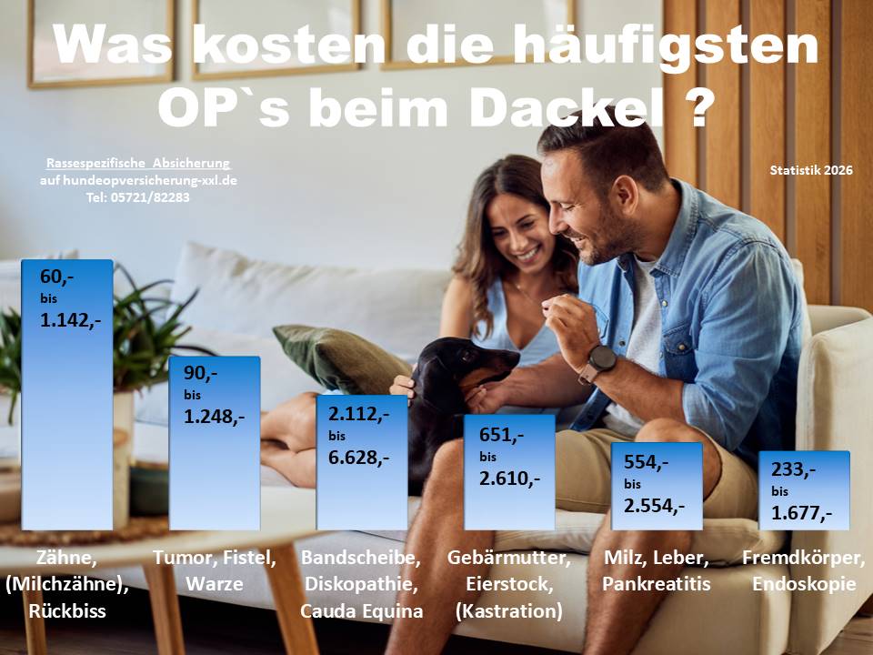 Hunde-OP Versicherung für Dackel Krankheiten und Tierarztkosten