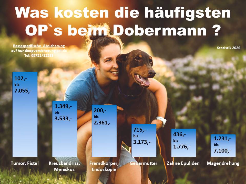 Hunde-OP Versicherung für Dobermann Krankheiten und Tierarztkosten