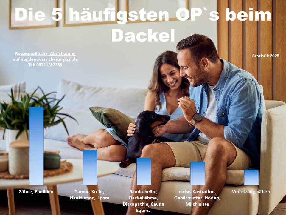 Hunde-OP-Versicherung für Dackel Krankheiten und Operationen