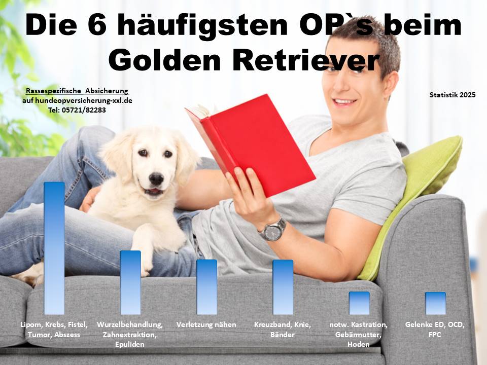 Hunde-OP Versicherung für Golden Retriever Krankheiten und Tierarztkosten