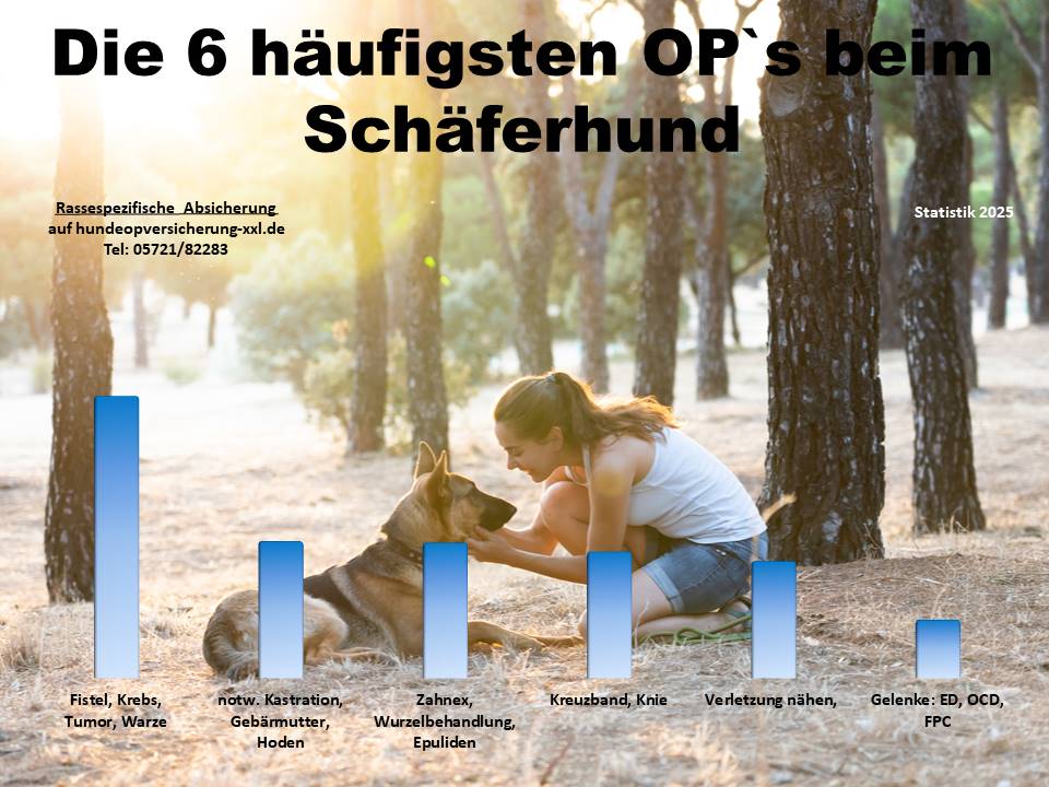 Hunde-OP Versicherung für Schäferhund Krankheiten und Tierarztkosten