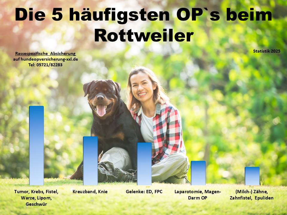 Hunde-OP-Versicherung für Rottweiler Krankheiten und Operationen