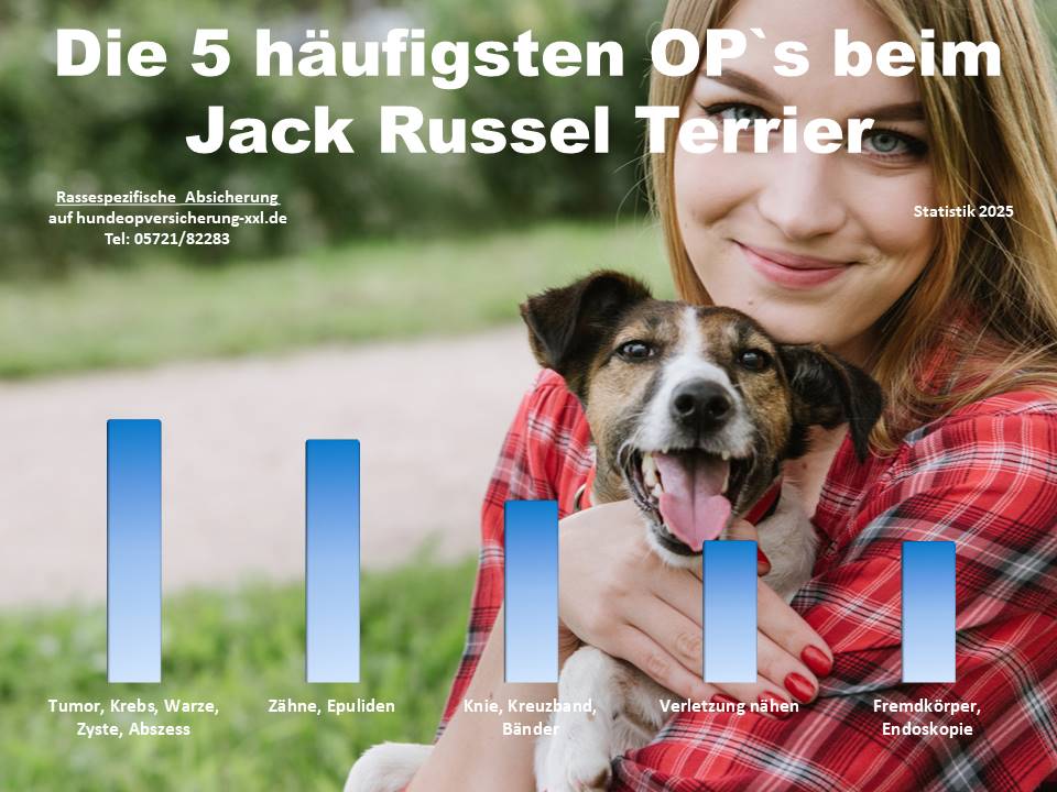 Hunde-OP Versicherung für Jack Russel Terrier Krankheiten und Tierarztkosten