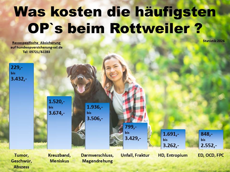 Hunde-OP Versicherung für Rottweiler Krankheiten und Operationen