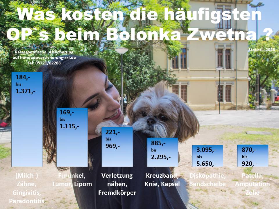 Hunde-OP Versicherung für Bolonka Zwetna Krankheiten und Tierarztkosten