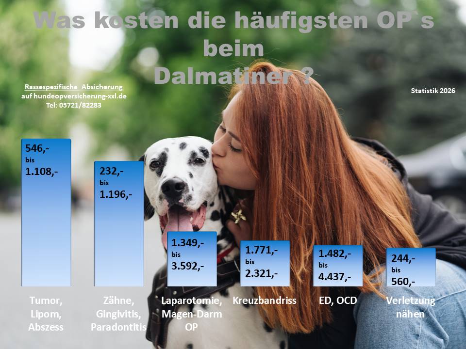 Hunde OP Versicherung für Dalmatiner Krankheiten und Tierarztkosten