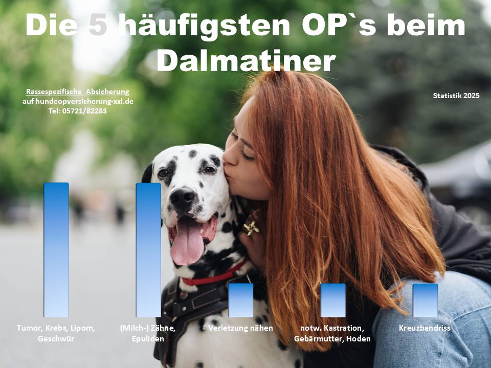 Hunde OP Versicherung für Dalmatiner Krankheiten und Tierarztkosten