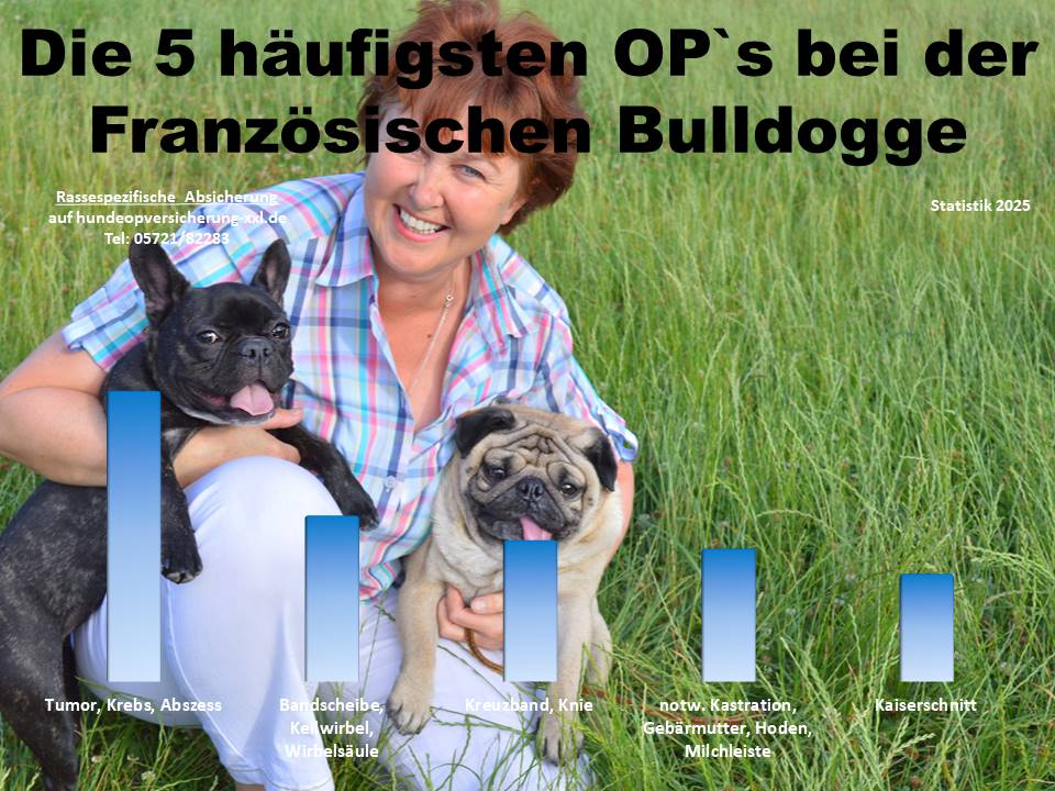 Hunde-OP-Versicherung für Französische Bulldogge Krankheiten
