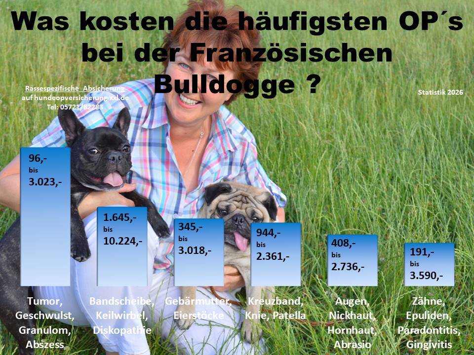 Hunde-OP Versicherung für Französische Bulldogge Krankheiten