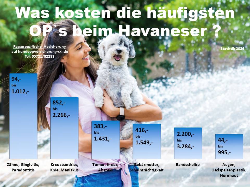 Hunde-OP Versicherung für Havaneser Krankheiten und Tierarztkosten