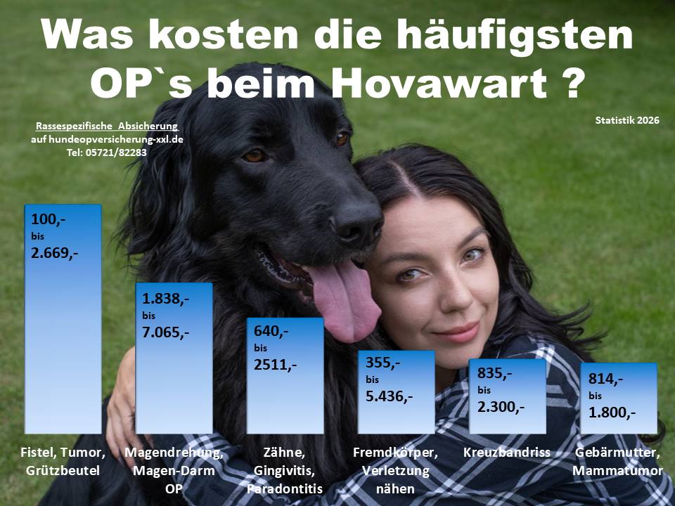 Hunde OP Versicherung für Hovawart Krankheiten und Tierarztkosten