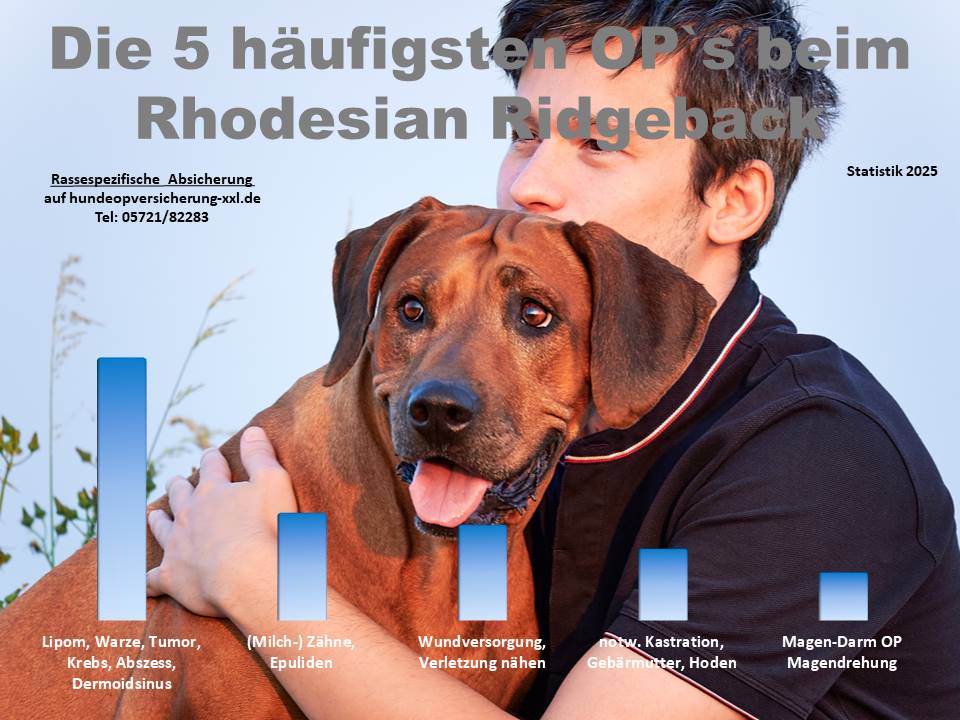 Hunde-OP Versicherung für Rhodesian Ridgeback Krankheiten und Tierarztkosten