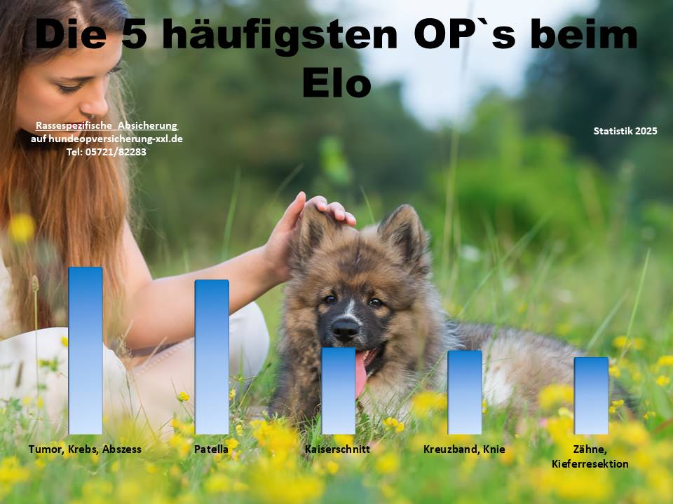 Hunde OP Versicherung für ELO Krankheiten und Tierarztkosten