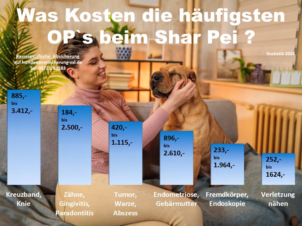 Hunde-OP Versicherung für Shar Pei Krankheiten und Tierarztkosten