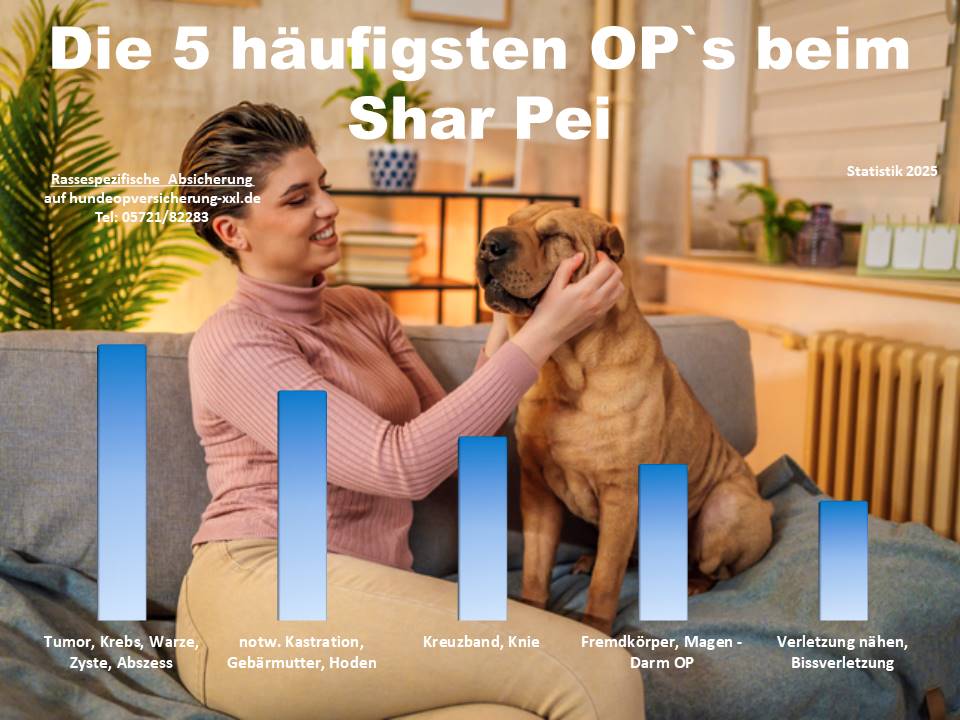 Hunde-OP Versicherung für Shar Pei Krankheiten und Tierarztkosten
